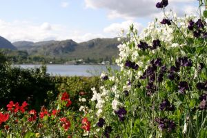 The National Trust gardens at Inverewe